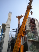 SC006~2.JPG