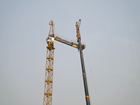 Filename=SC012~1.JPG
Filesize=674KiB
Dimensions=2048x1536
Date added=Jul 06, 2011 SC012~1.JPG